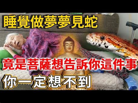 出門看到蛇|【看到蛇是什麼意思】蛇出沒該如何應對？民俗專家：看到蛇必做。